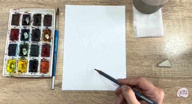 Рисуем Диервилла