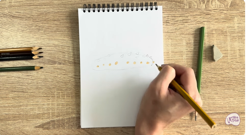 Рисуем Голотурия