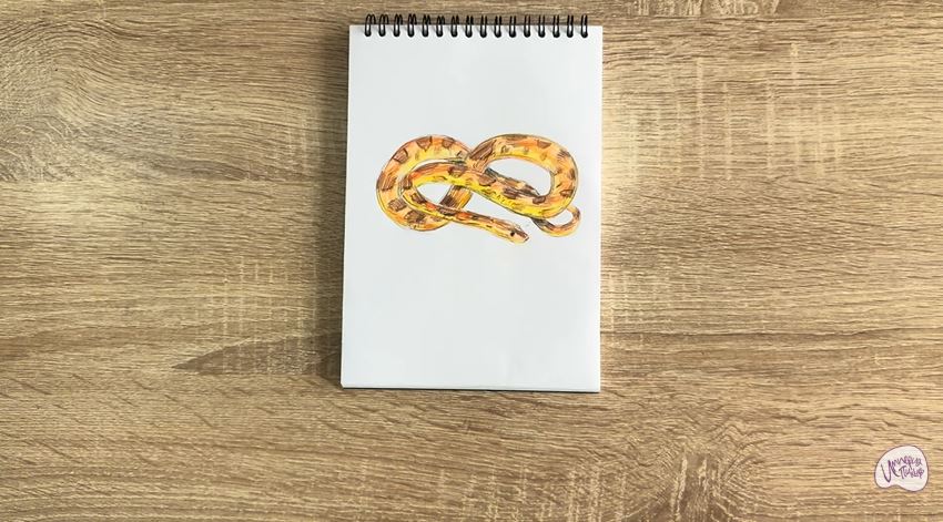 Рисуем Маисовый полоз