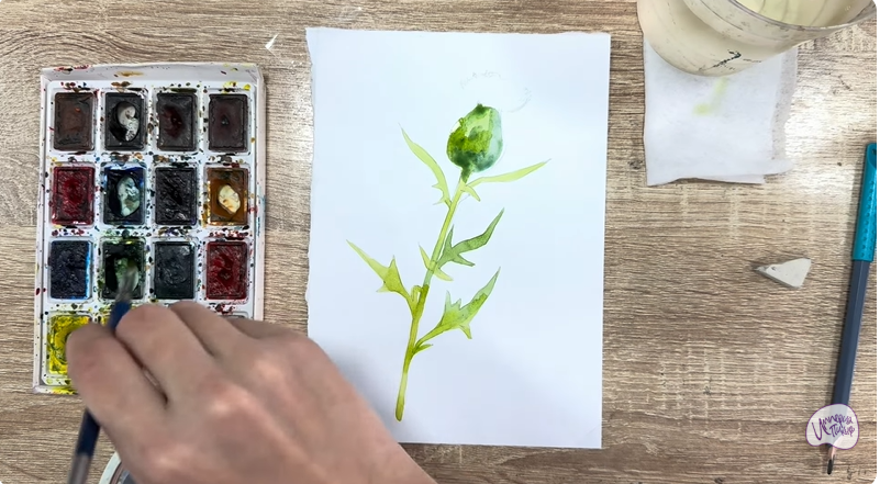 Рисуем Бодяк