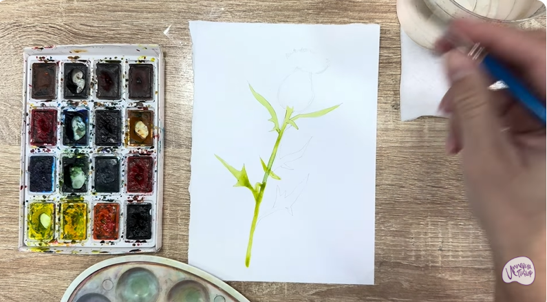 Рисуем Бодяк