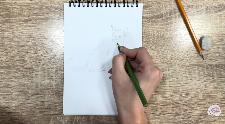 Рисуем Кот породы "Корат"