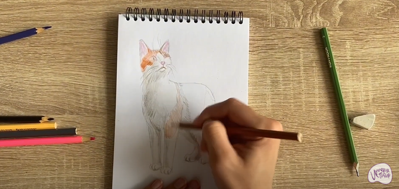 Рисуем Кот породы "японский бобтейл"