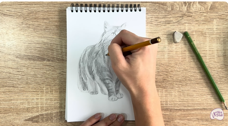 Рисуем Норвежский лесной кот