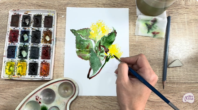 Рисуем Диервилла