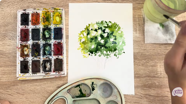 Рисуем Саженец бирючины