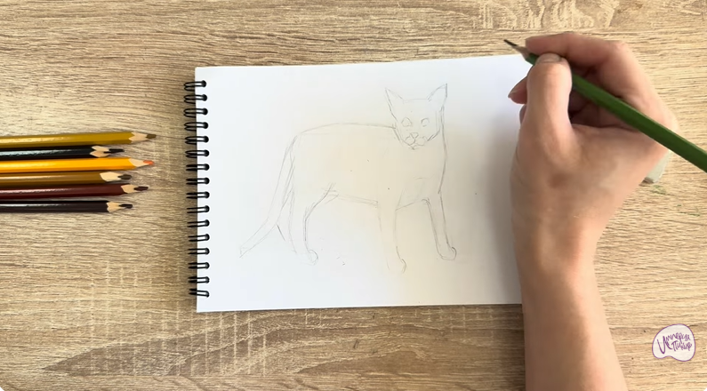 Рисуем Кот породы Оцикет