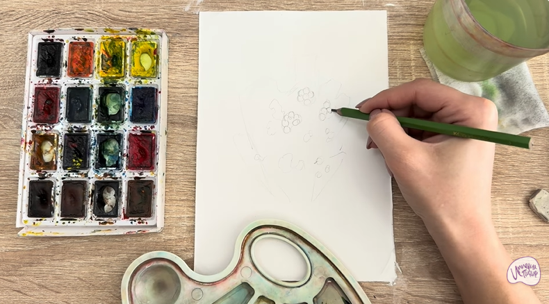 Рисуем Тис ягодный