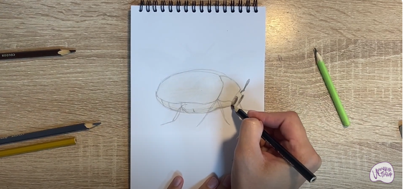 Рисуем Кожеед