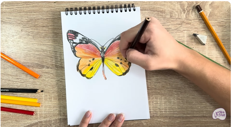 Рисуем Малинница обыкновенная