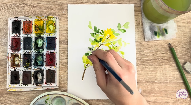 Рисуем Ветка караганы