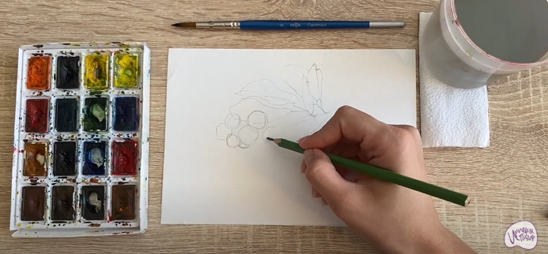 Рисуем Ирга