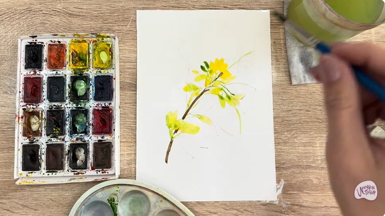 Рисуем Ветка караганы