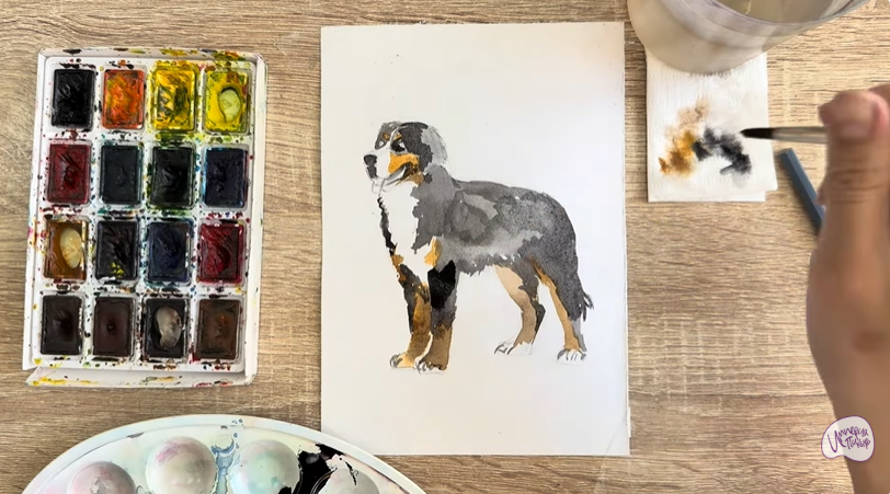 Рисуем Собака породы Бернский зенненхунд