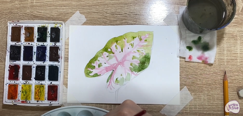Рисуем Лист каладиума