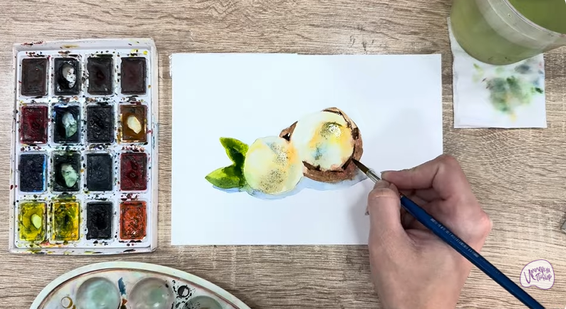 Рисуем Макадамия