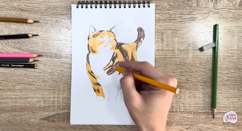 Рисуем Кошка породы "Манчкин"