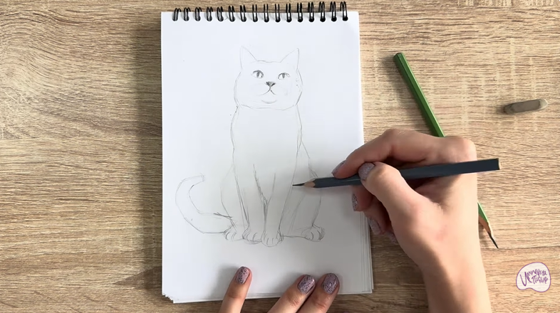 Рисуем Кот породы Шартрез