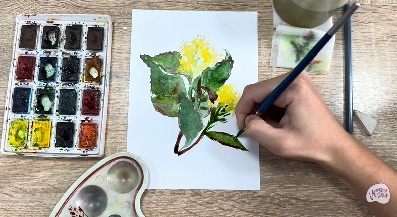 Рисуем Диервилла