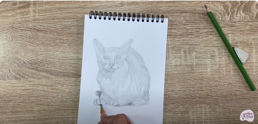 Рисуем Балинезийская кошка
