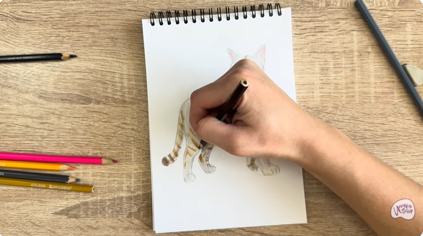 Рисуем Кошка Бурмилла