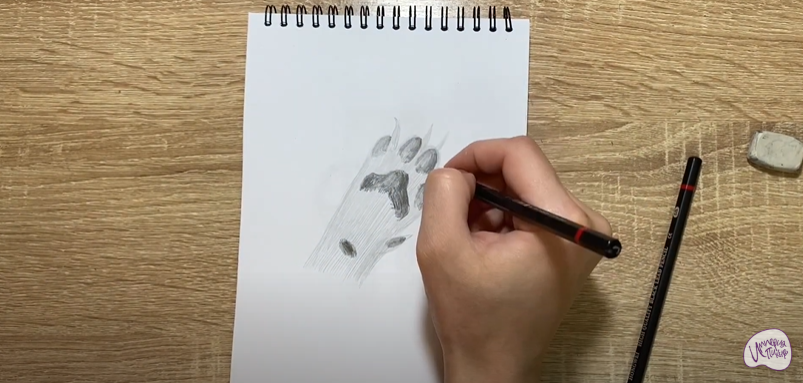Рисуем Лапа собаки