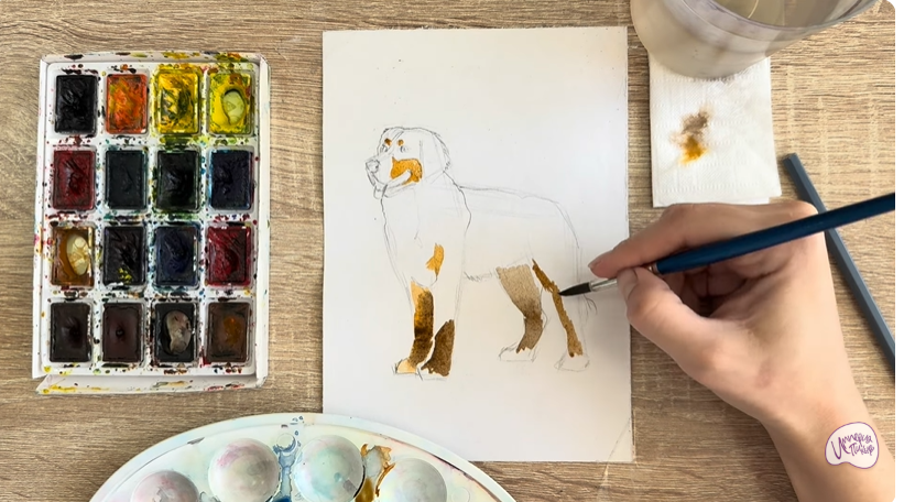 Рисуем Собака породы Бернский зенненхунд