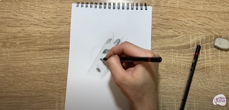 Рисуем Лапа собаки