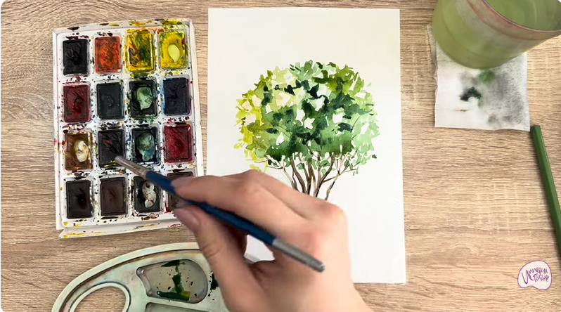 Рисуем Саженец бирючины