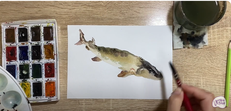 Рисуем Стерлядь
