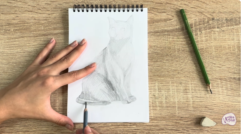 Рисуем Бурманский кот