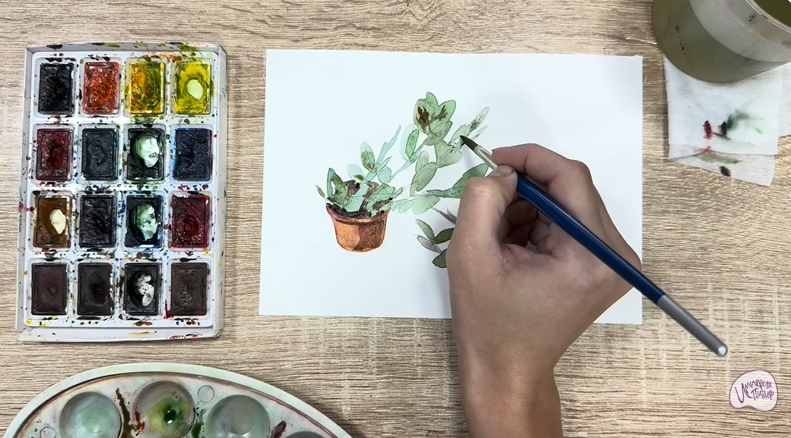 Рисуем Пеллиония в горшке