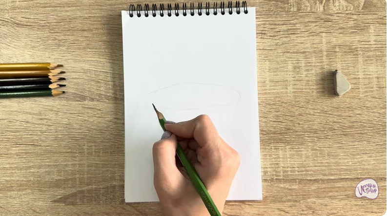 Рисуем Голотурия