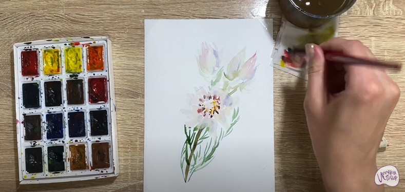 Рисуем Цветок "Серрурия"