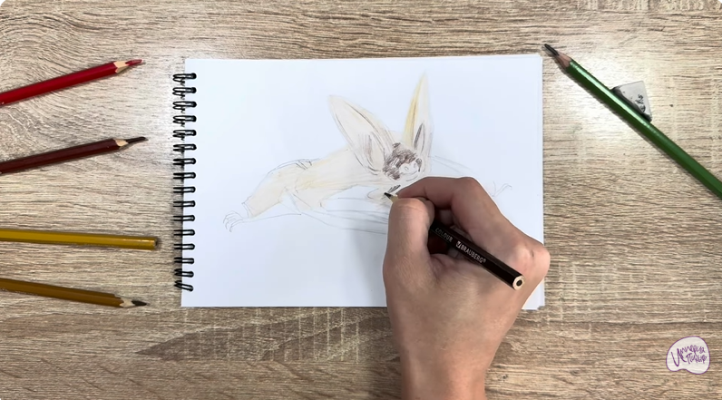 Рисуем Бурый ушан