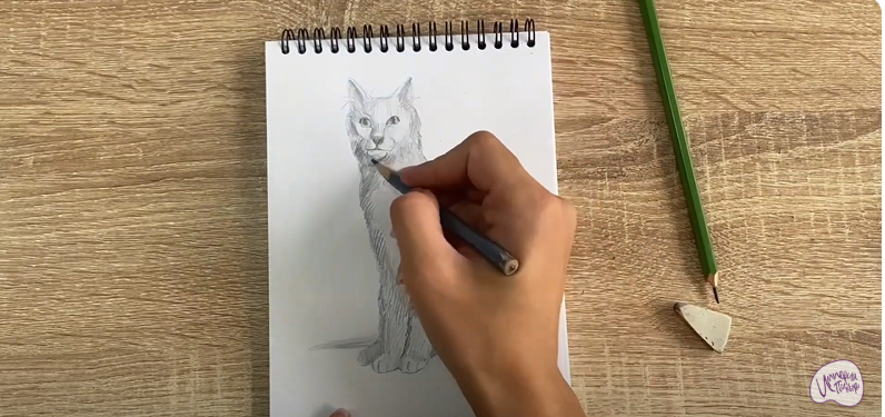 Рисуем Турецкая ангора