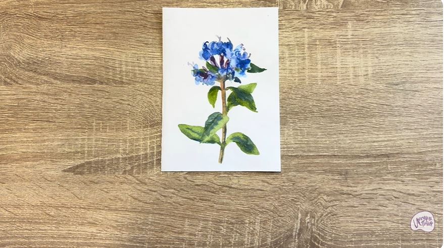 Рисуем Зизифора