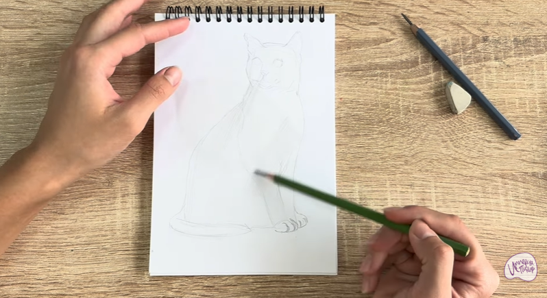 Рисуем Бурманский кот