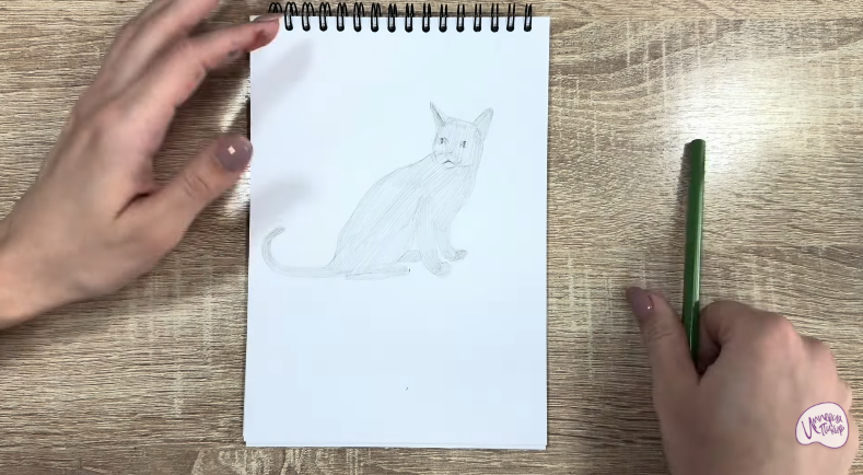 Рисуем Кот породы "Корат"