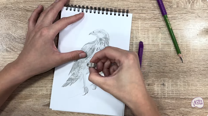 Рисуем Хохлатый осоед