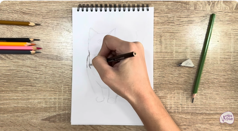 Рисуем Кошка породы "Манчкин"