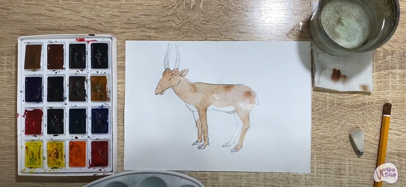 Рисуем Сайгак