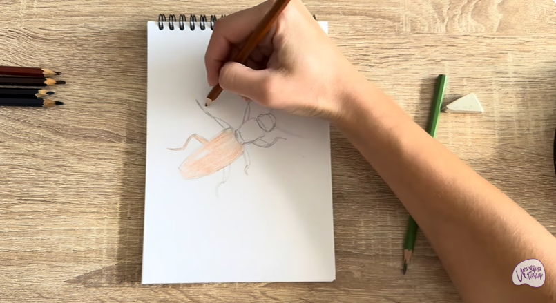 Рисуем Мукоед