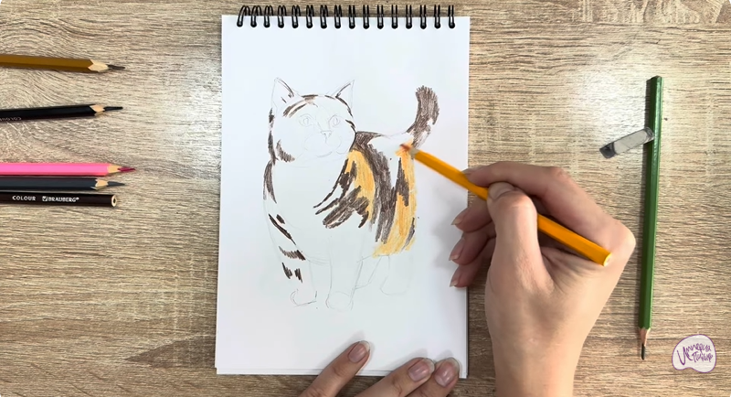 Рисуем Кошка породы "Манчкин"