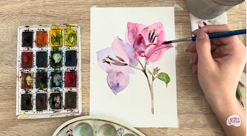 Рисуем Бугенвиллея