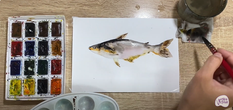 Рисуем Пангасиус