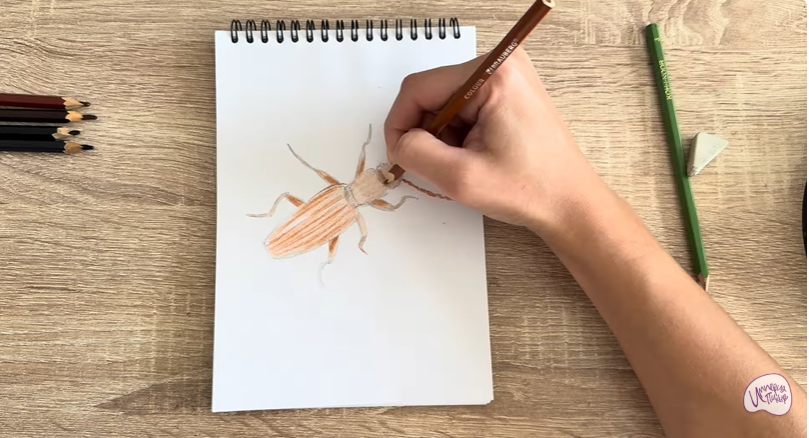 Рисуем Мукоед