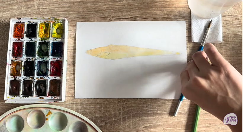 Рисуем Конгрио