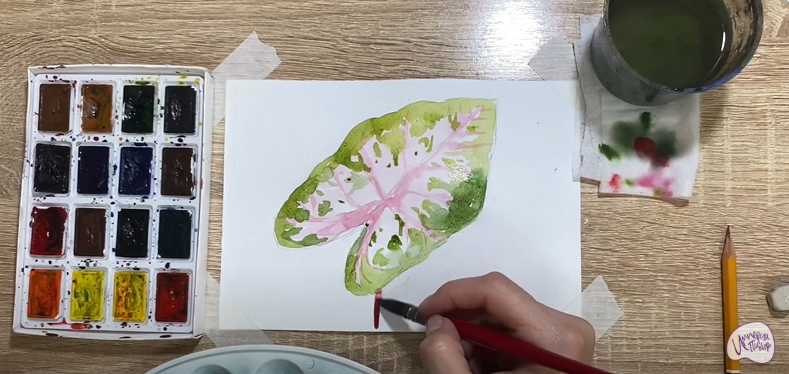 Рисуем Лист каладиума