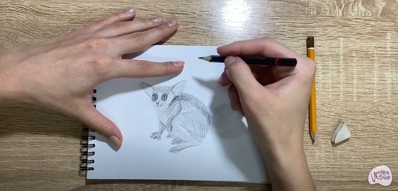Рисуем Галаго